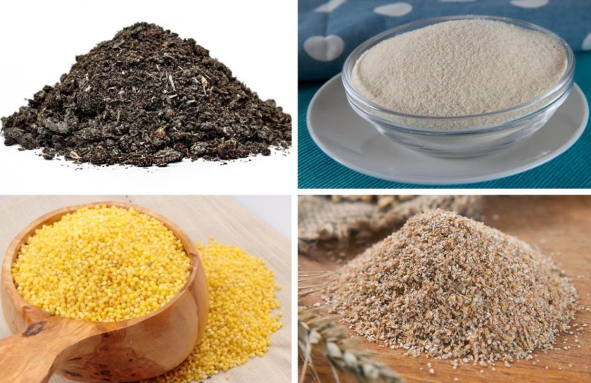 Підгодовування для карася Підгодовування для карася