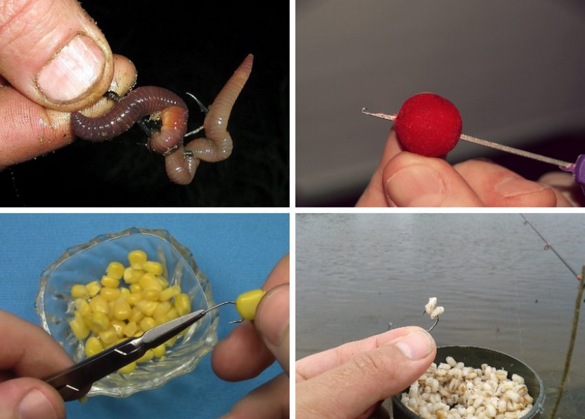 Насадки на карася Насадки на карася