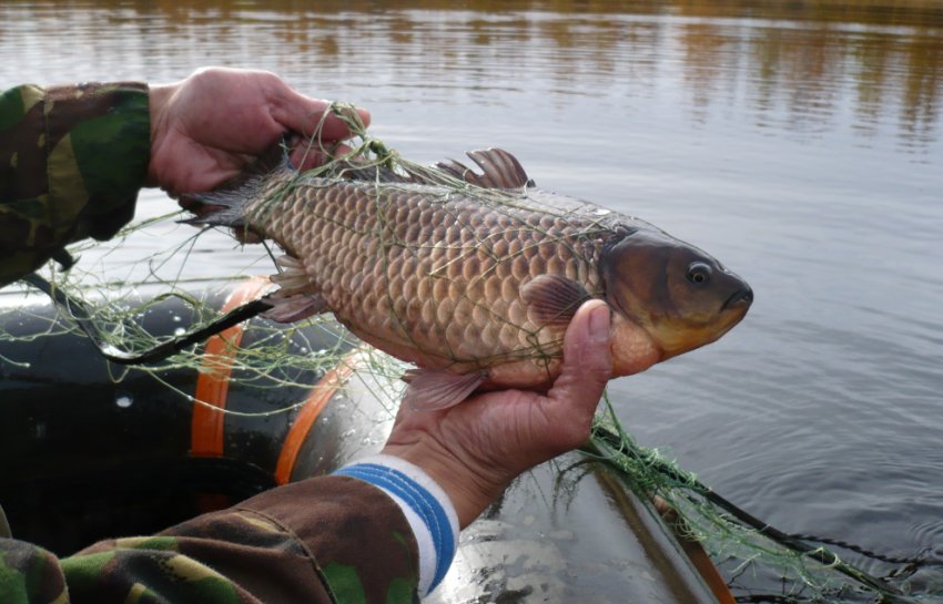 Ловля карасяз човна Ловля карасяз човна