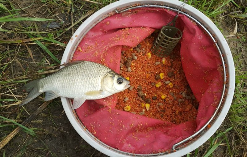 манка для рыбалки рецепт на карася
