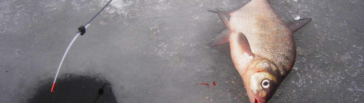 Вибір снасті для лову ляща взимку