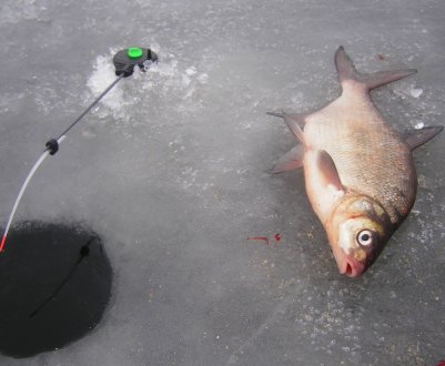 Вибір снасті для лову ляща взимку