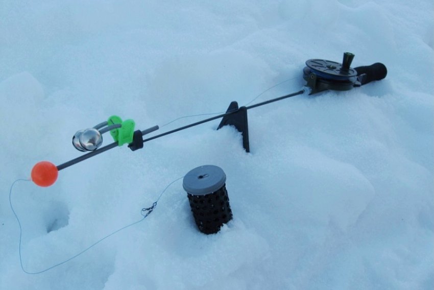 Зимова донка Зимова донка