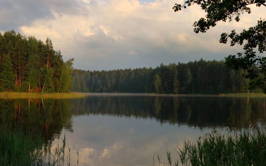 Озеро Криве Озеро Криве