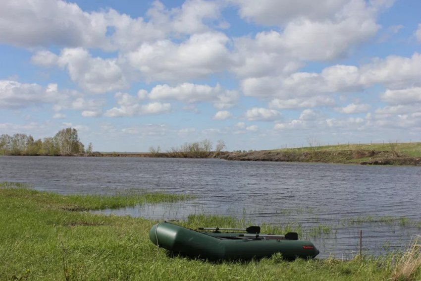 Рибальське господарство Дзеркальний Короп Рибальське господарство Дзеркальний Короп