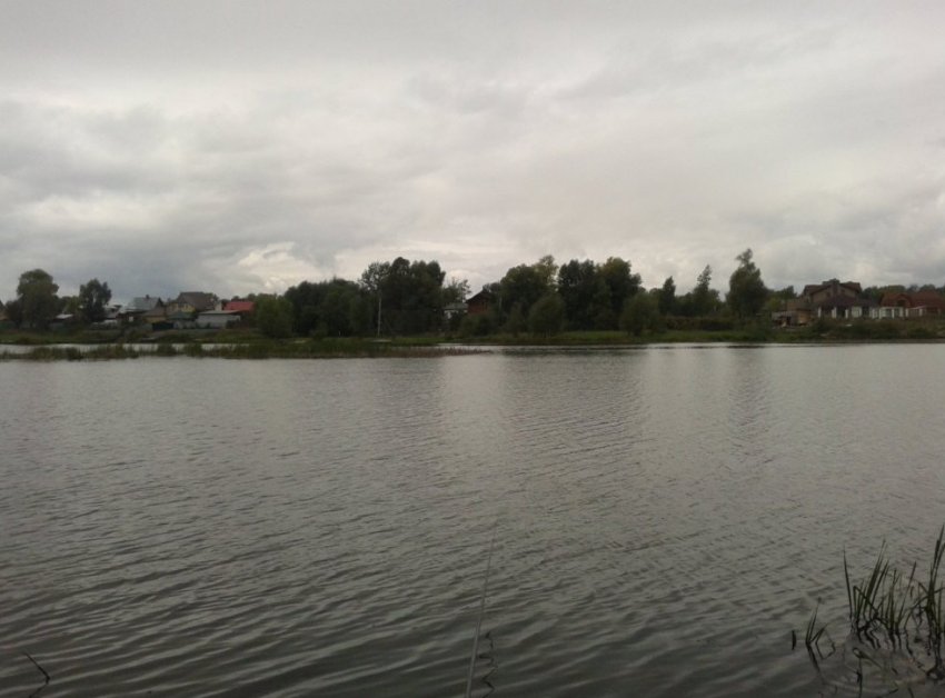 Садівництво Обліпиха Садівництво Обліпиха