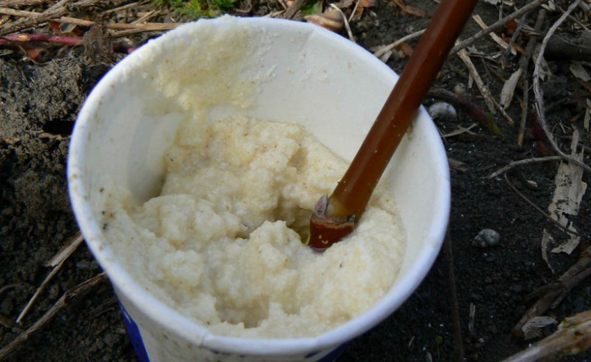 Болтушка з манки Болтушка з манки