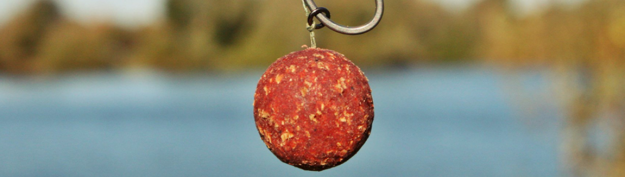 Саморобні бойли для ляща: приготування і ловля