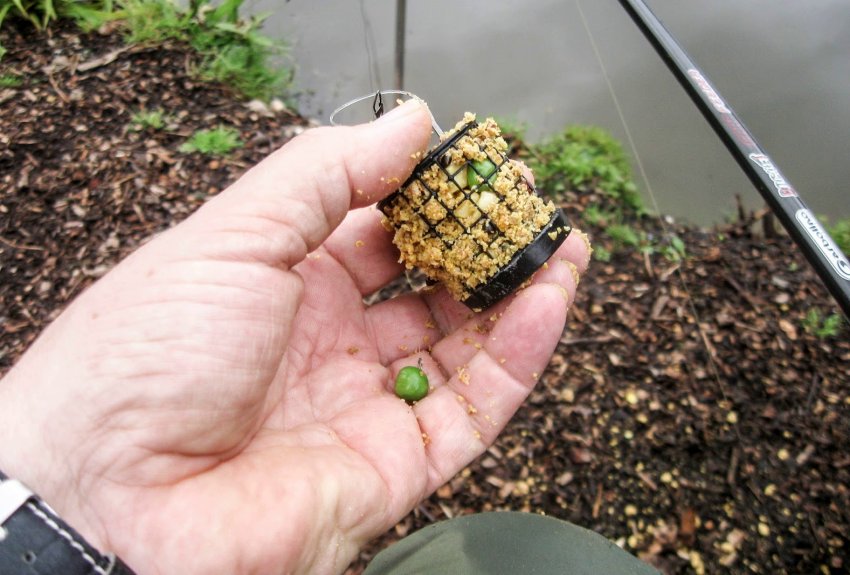 Підгодовування на ляща Підгодовування на ляща