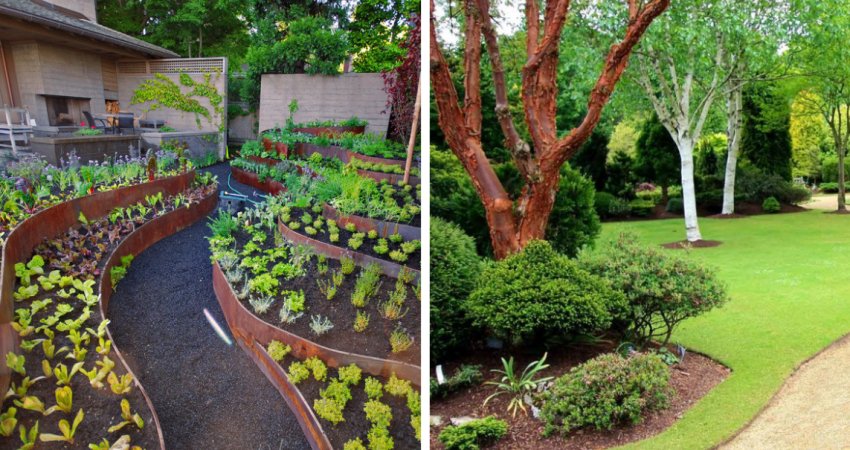 Сад і город в ландшафті ділянки