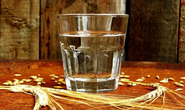 Пшеничный самогон рецепты зерновой браги из пшеницы в