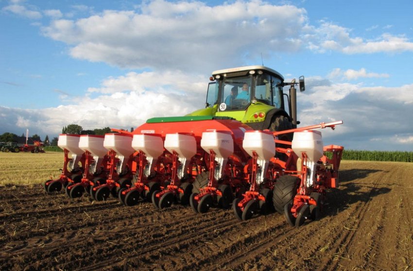 Посів пшениці