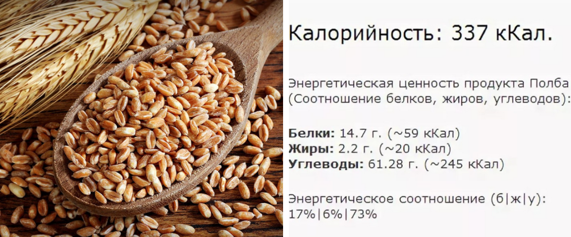 Чем отличается полба от пшеницы, это одно и тоже или нет