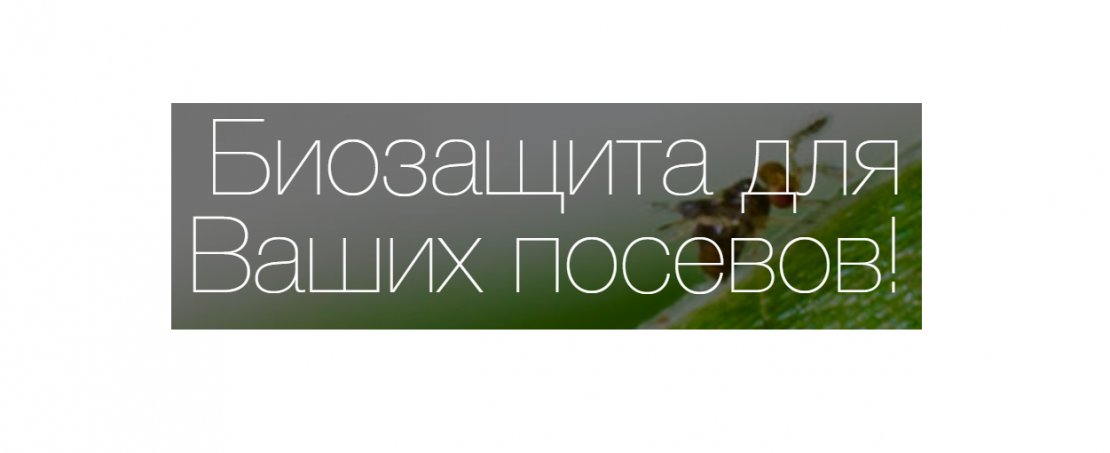 ООО «Биобаланс»