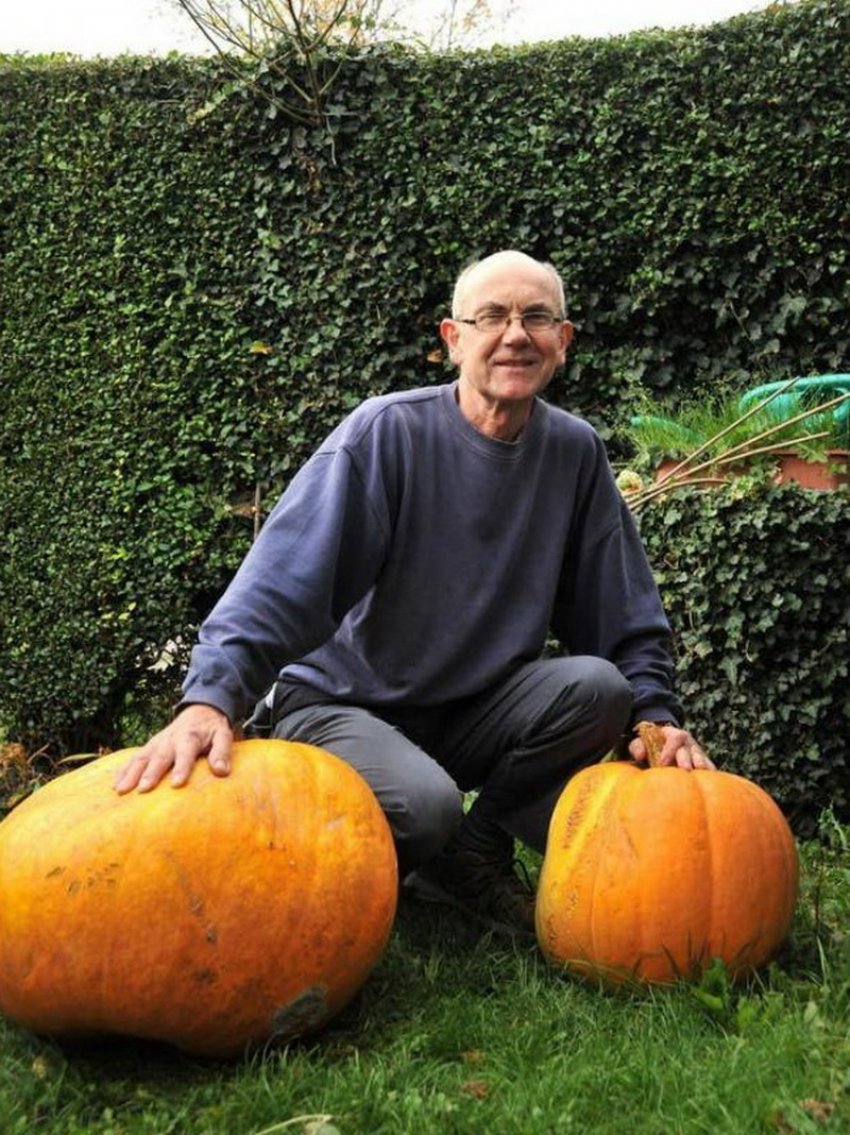 Чоловік виріс величезну гарбузу і нарешті побив рекорд свого батька після 30 років спроб Чоловік виріс величезну гарбузу і нарешті побив рекорд свого батька після 30 років спроб