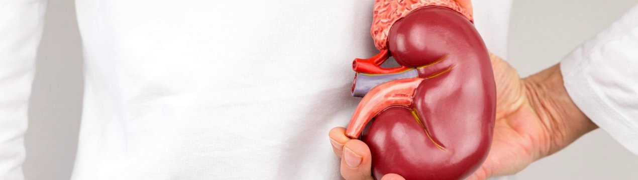 Як лікувати нирки вівсом, рецепти заварювання