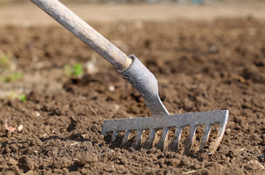 Розпушування ґрунту Розпушування ґрунту