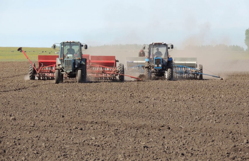 Посів озимої пшениці