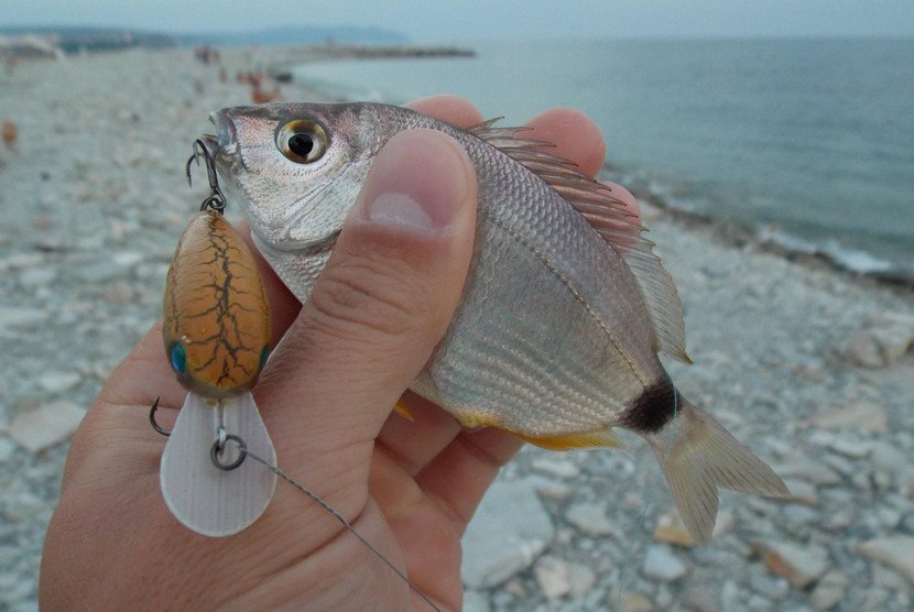 груз для морской рыбалки