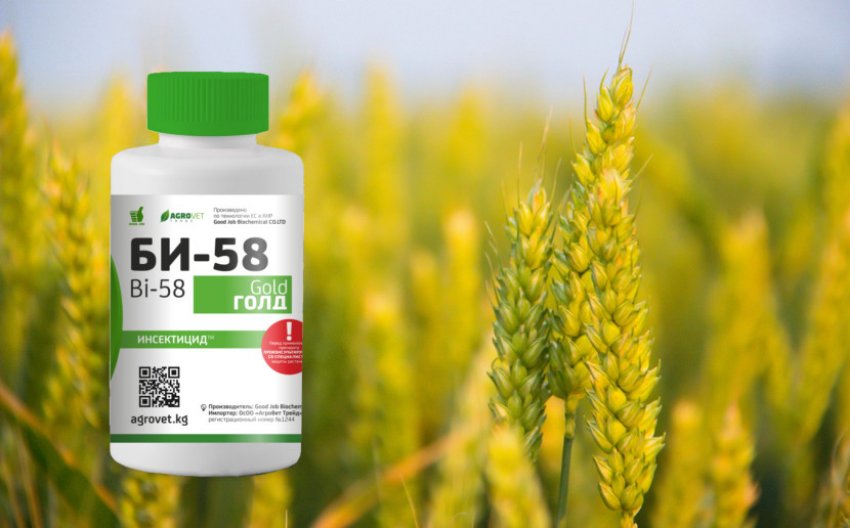 Препарат, що використовується під час цвітіння пшениці Препарат, що використовується під час цвітіння пшениці