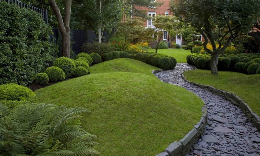 Елементи ділянки