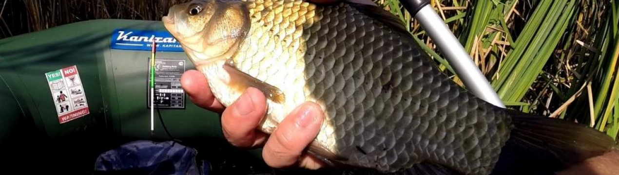 Де половити карася у Свердловській області