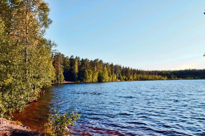 Озеро Щуче Озеро Щуче