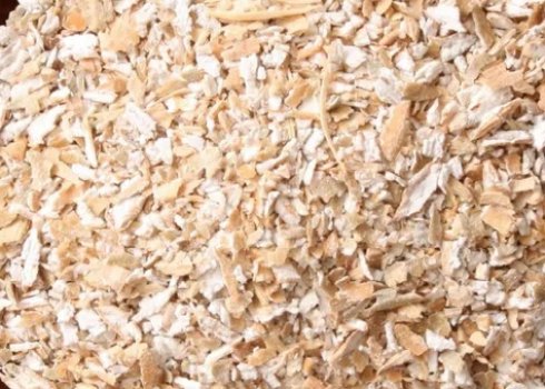 Користь і шкода пшеничних висівок, як їх правильно вживати