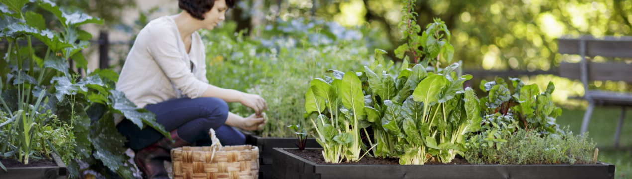 8 способів зробити свій город затишнішим і красивішим