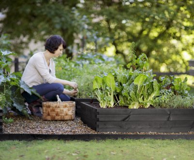8 способів зробити свій город затишнішим і красивішим