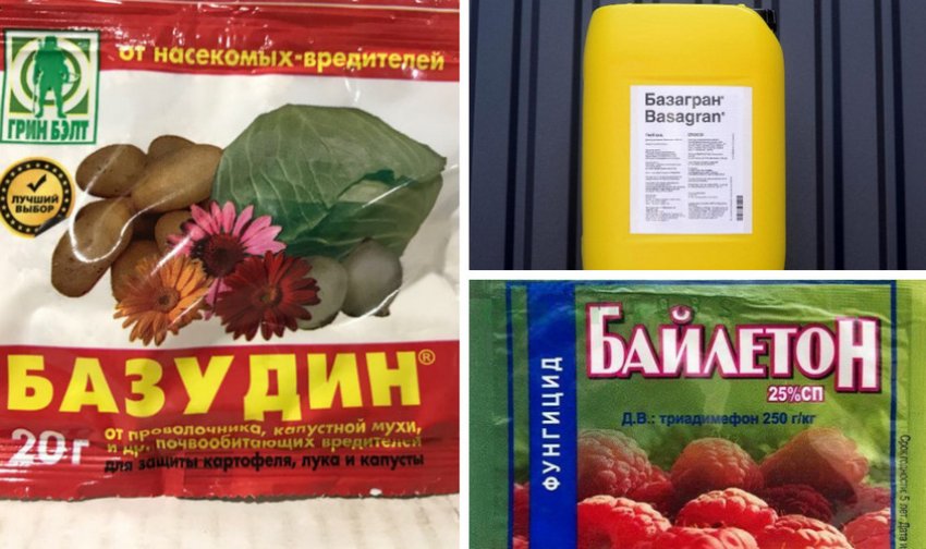 Препарати для боротьби з хворобами та шкідниками