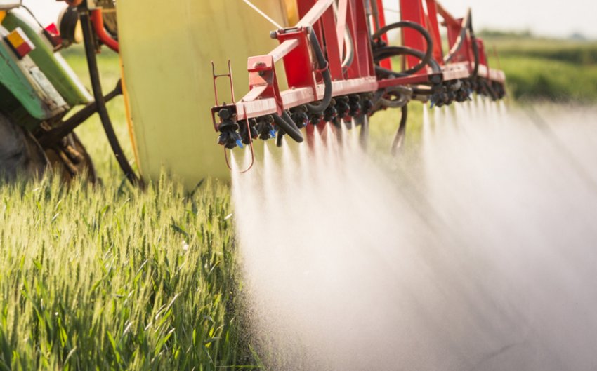 Обприскування ячменю