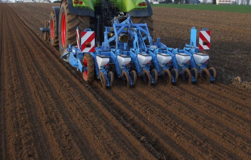 Посів ячменю