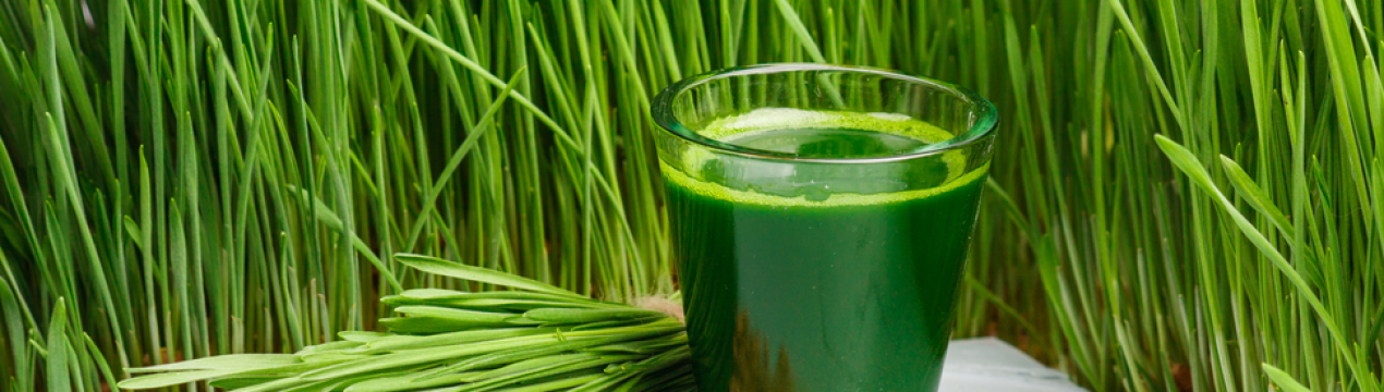 Допоміжні властивості соку пророслої пшениці