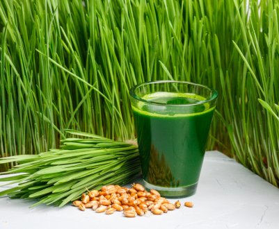 Допоміжні властивості соку пророслої пшениці