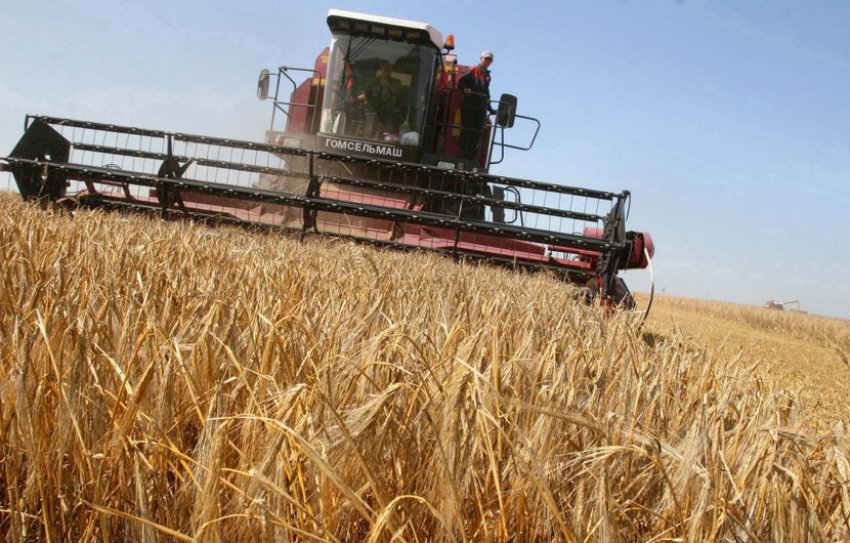 Збирання ячменю з поля