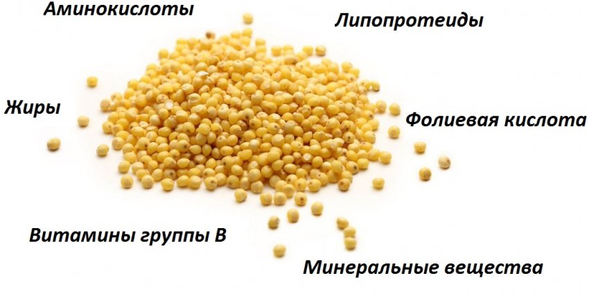 Склад пшона