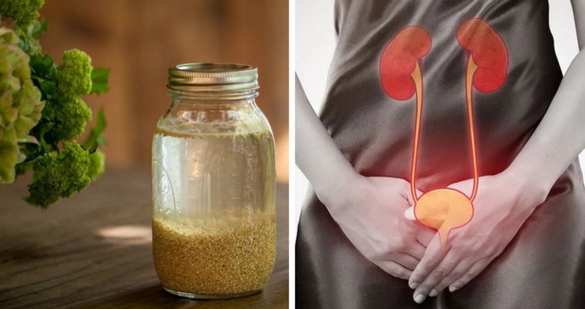 Пшонопри цистите