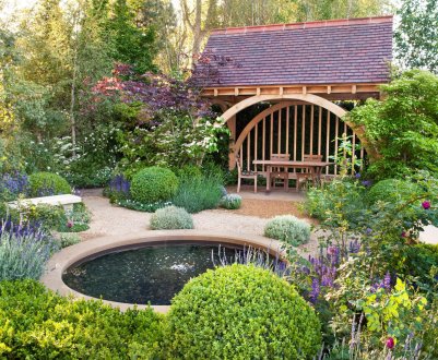 5 модних рослин для вашого дачного ділянки