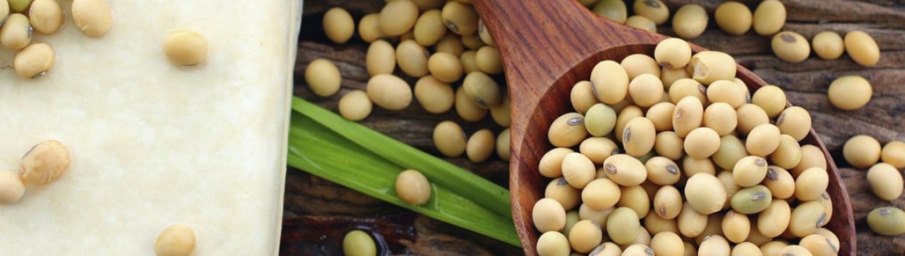 SOPA вимагала збільшення мита на сировинний соєвий продукт до 45 відсотків