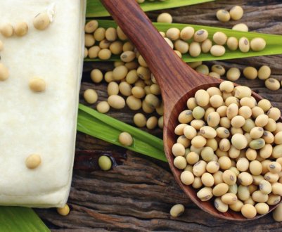 SOPA вимагала збільшення мита на сировинний соєвий продукт до 45 відсотків