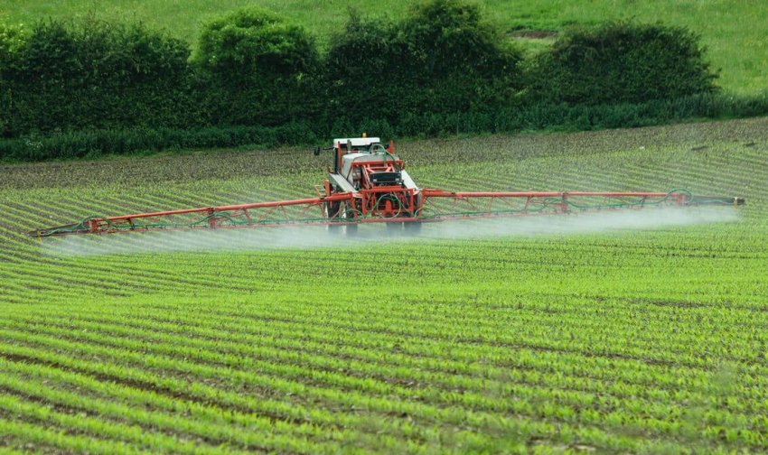 Боротьба з бур`янами Боротьба з бур`янами