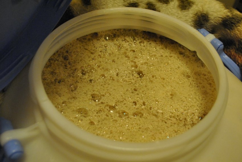 Пшенична брага на кодзі Пшенична брага на кодзі