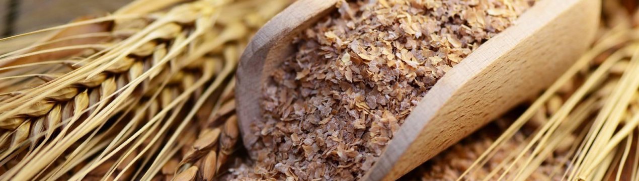 Користь і шкода житніх висівок і як їх правильно вживати