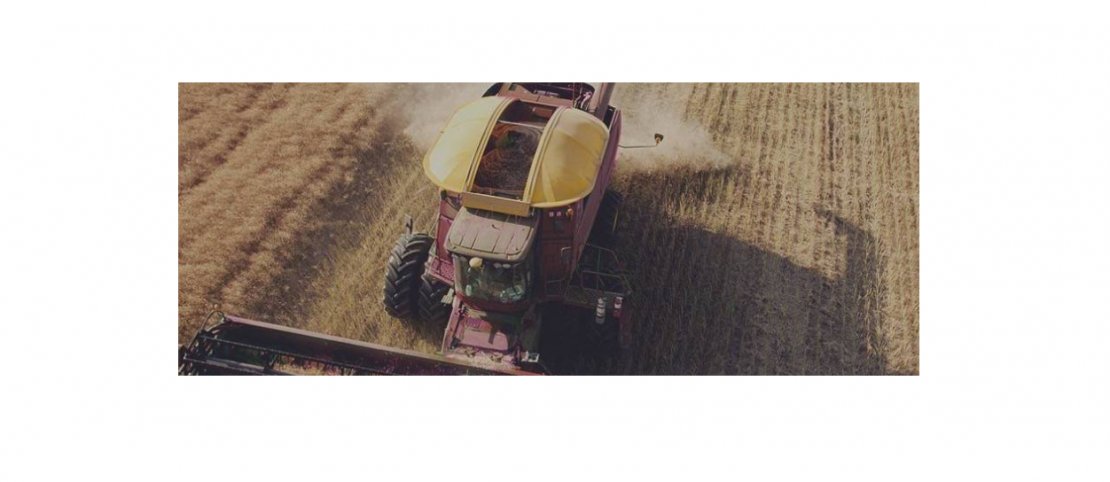«KUSTO AGRO GROUP»