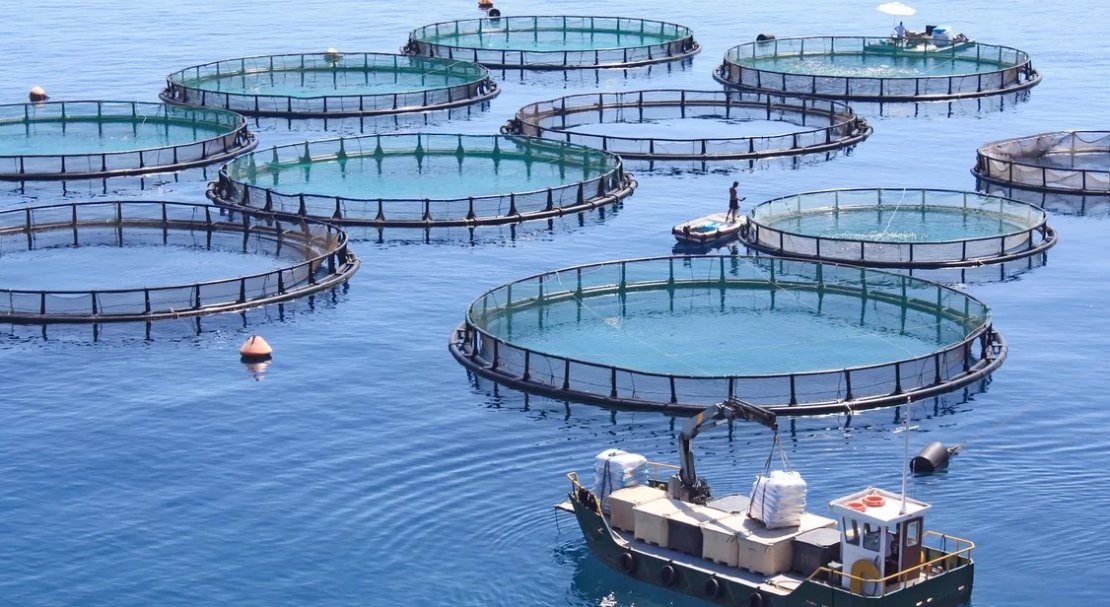 Aquaculture Taiwan 2020