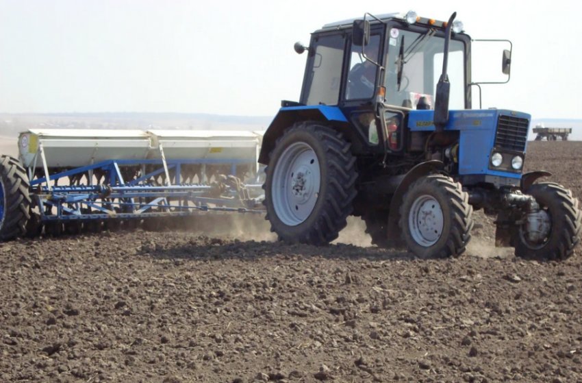 Посів пшениці Посів пшениці