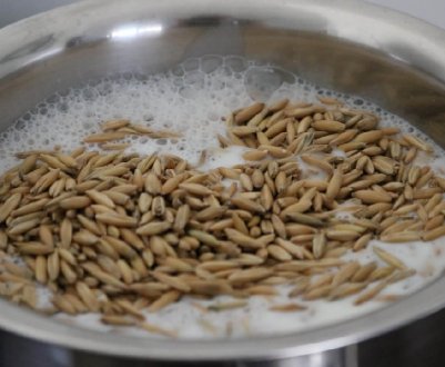 Овес для лікування та чищення печінки