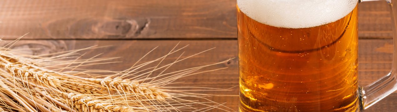 Опис і найкращі рецепти приготування пшеничного пива