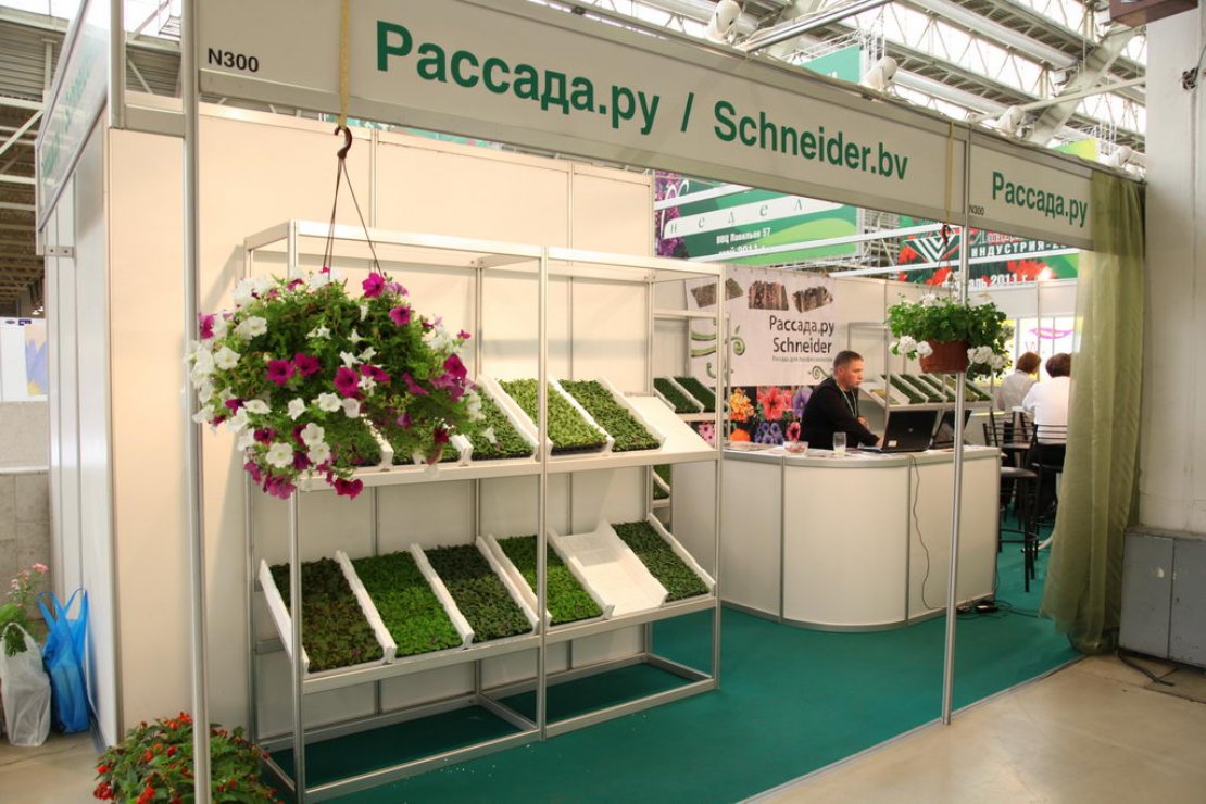 Московский Купить Рассаду Цветов